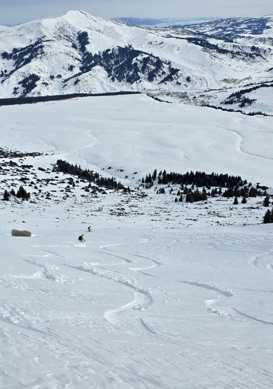 Cat skiing