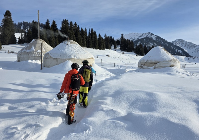 Yurt accommodation