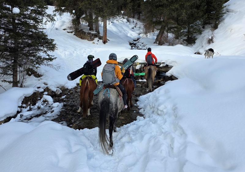 Heading up with the horses
