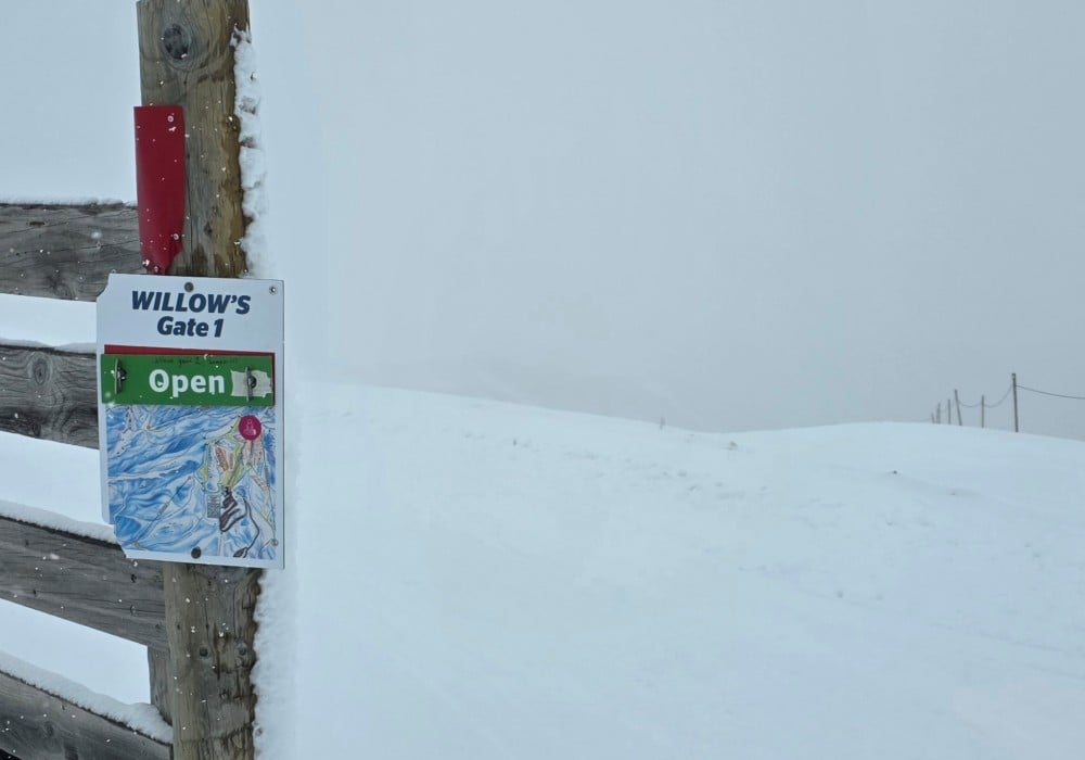 Willows open!