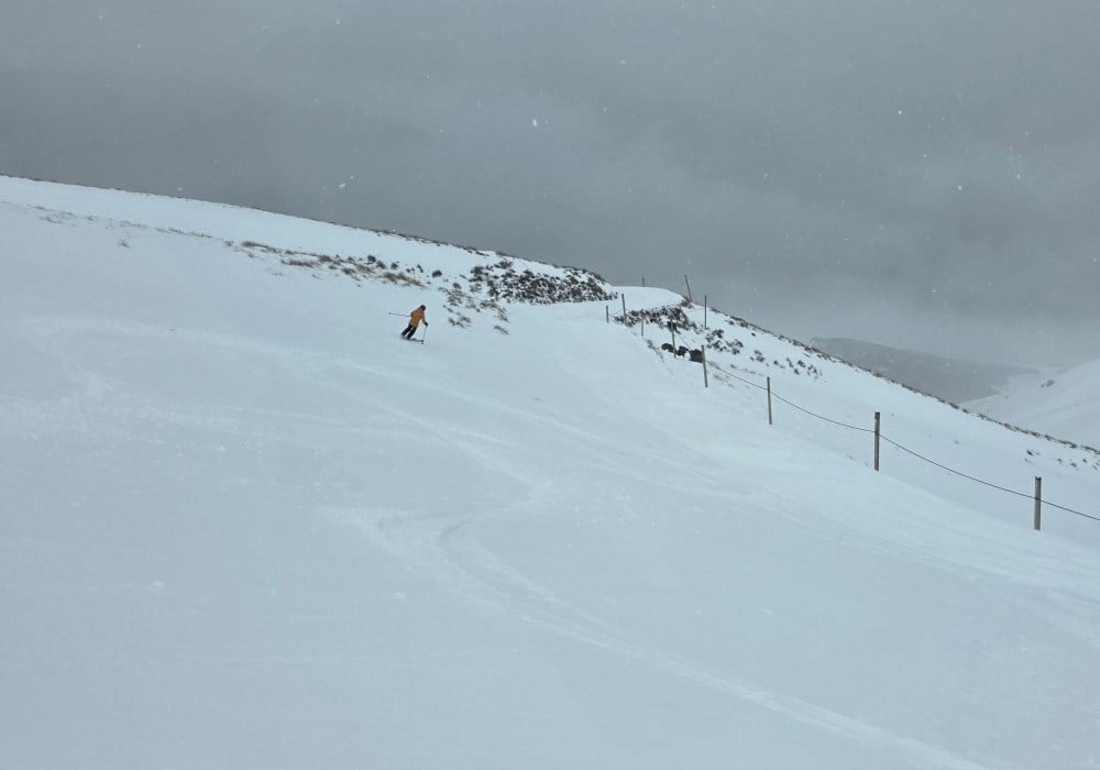Fresh tracks all the way in Willows