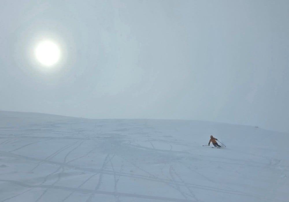 Powder skiing 'Free Dive'