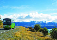 Bus Transport