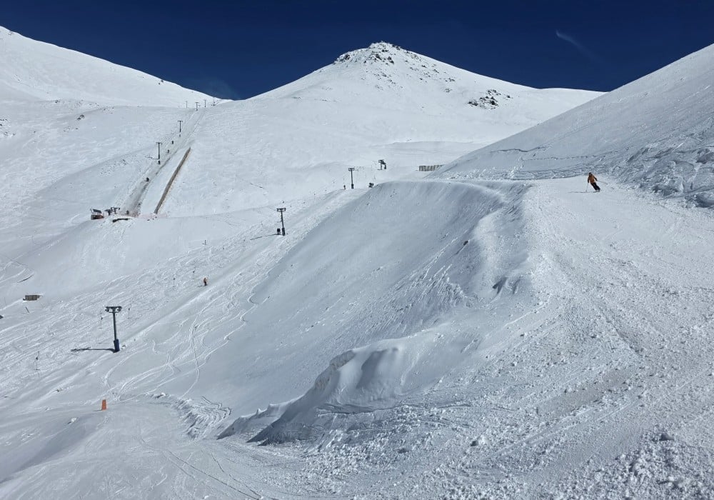 Stellar Bowl cat track