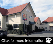 Alpine Motel Apartments | Budget Motel Accommodation Wanaka