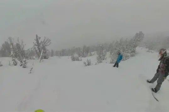 First tracks in Ski Ways Glades after 10+ inches