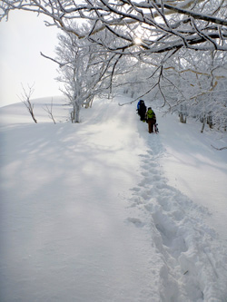 Nathan Wilson Review of the Hokkaido Explorer Tour