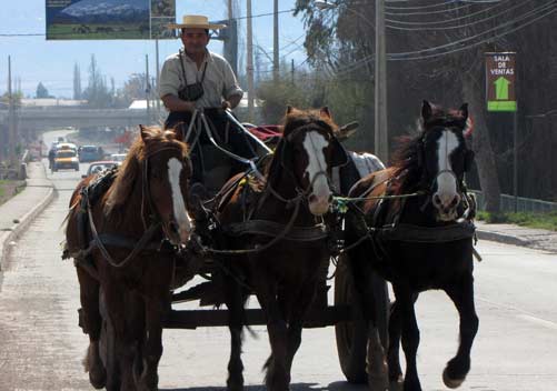 The Chilean culture has a lot of diversity