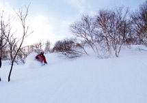 Private Group Day Guided Ski & Snowboard Tours | Niseko & Surrounding Areas