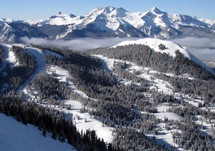 Powder Mountain Ski Tour