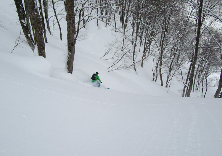 Ski & Snowboard Tour Search Results