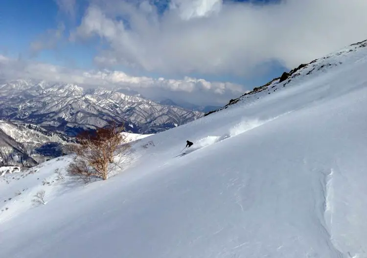 Ski & Snowboard Tour Search Results