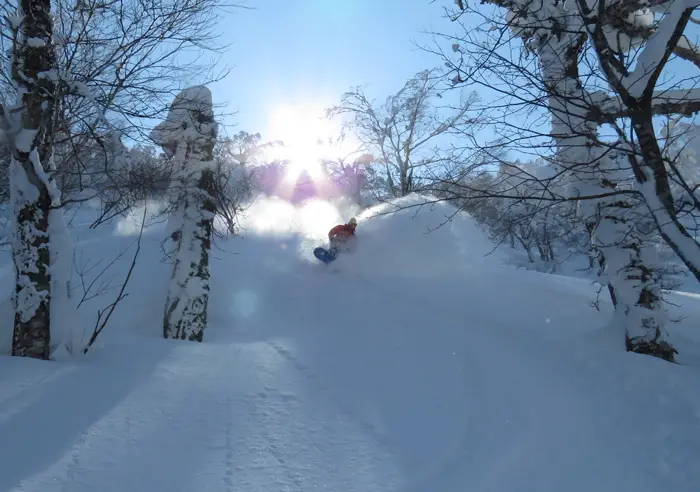 Want to ski Hokkaido POW like this?