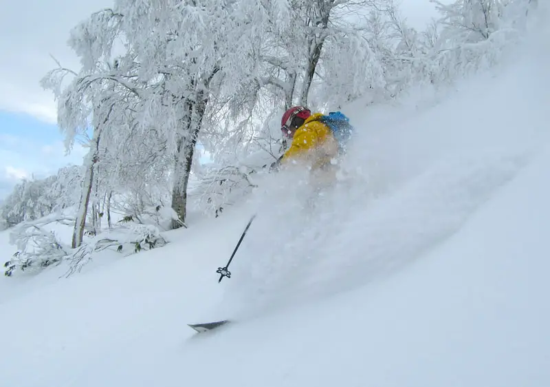 japan ski tours indy pass