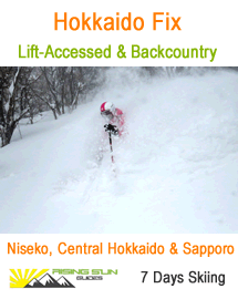 Hokkaido Fix Tour - Niseko, Central Hokkaido & Sapporo Areas