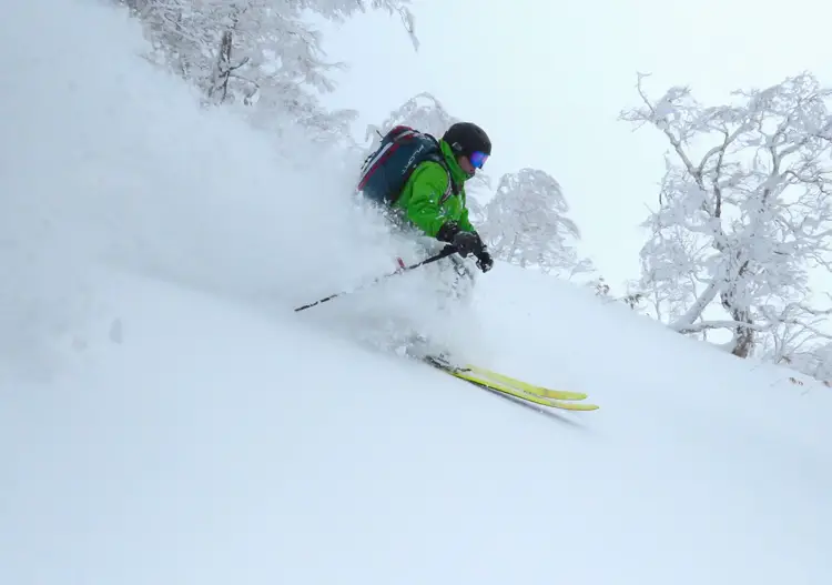 Whiteroom Japan