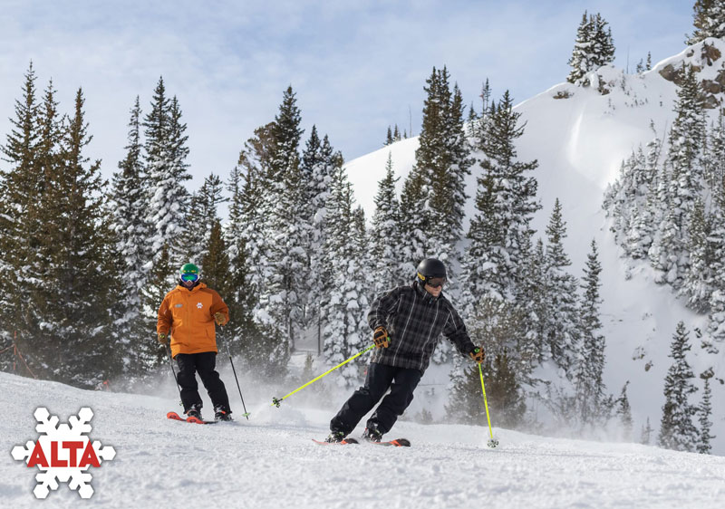 Alta Ski Resort Reviews Alta Utah