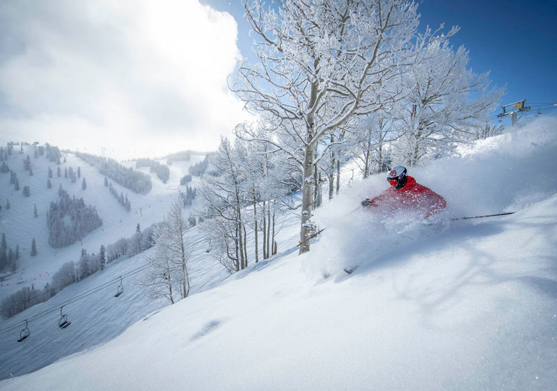 Aspen Colorado Aspen Snowmass Ski Aspen Reviews