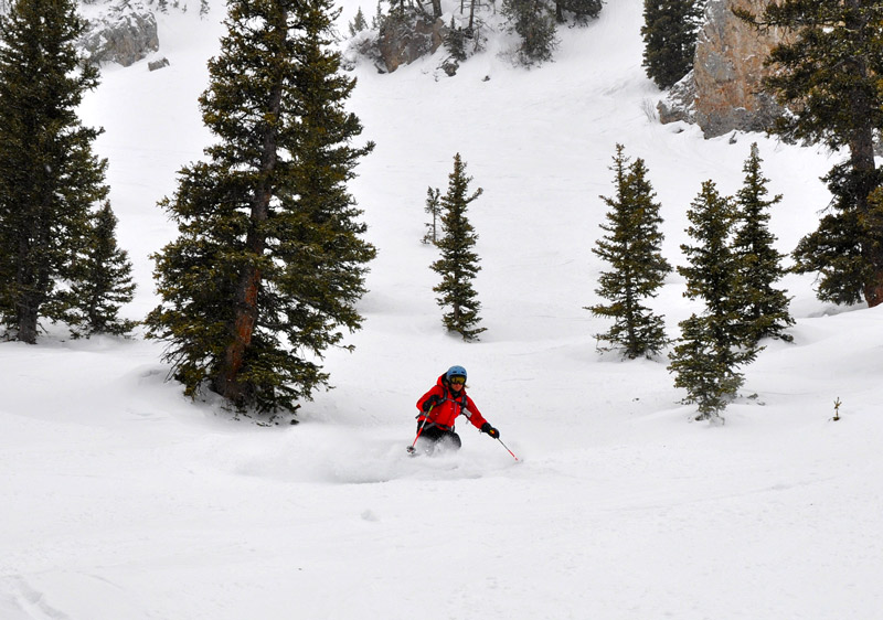 Bridger Bowl Ski Resort Review Bridger Montana