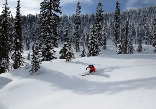 Great Northern Powder Guides Cat Skiing
