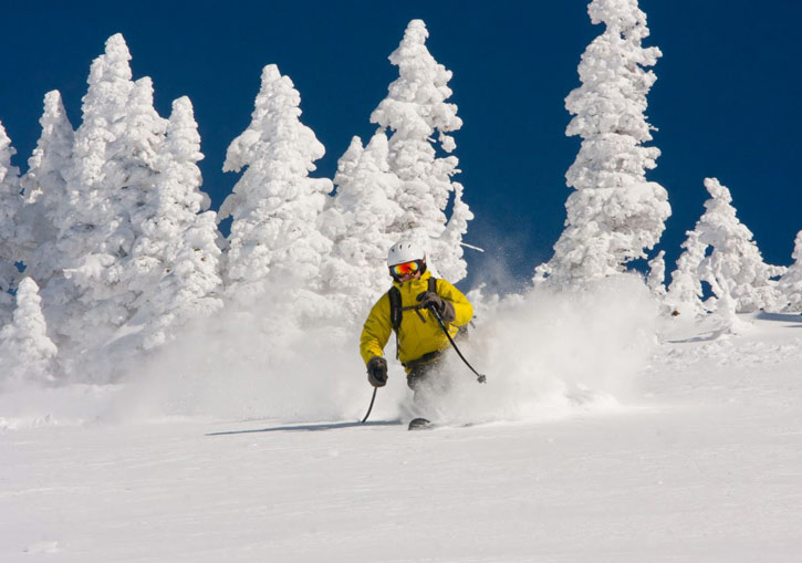 Park City Powder Cats Utah