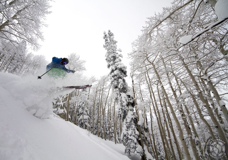 Steamboat Powdercats Snowcat Skiing Colorado
