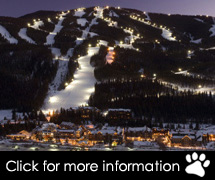 Colorado Ski Packages