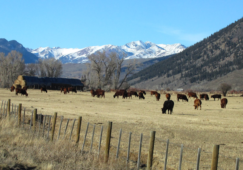 Travel to Crested Butte CO Denver To Crested Butte