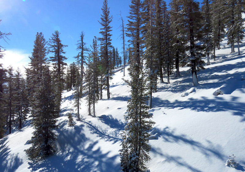 Heavenly Mountain Resort | Heavenly Ski Area Review