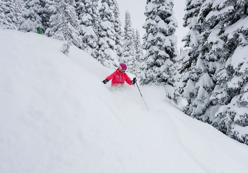 Jackson Hole Skiing Ratings, Snow, Ski Terrain