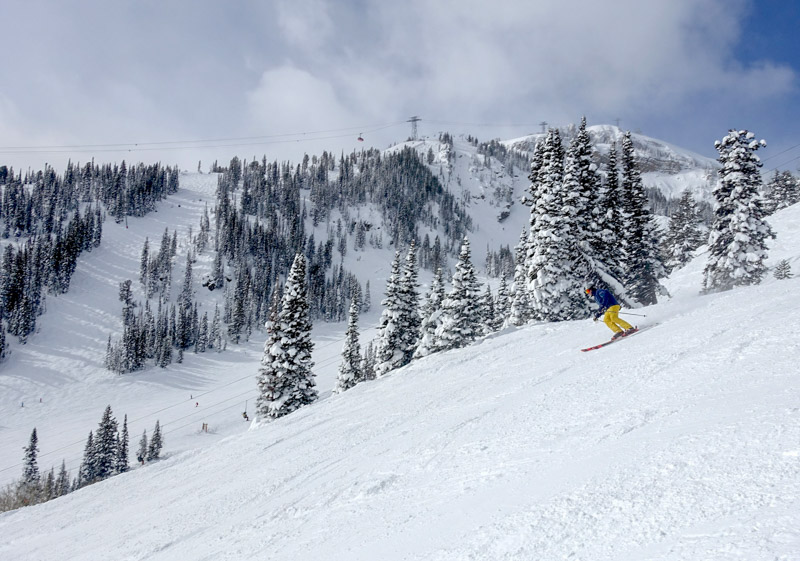 Jackson Hole Skiing Ratings, Snow, Ski Terrain