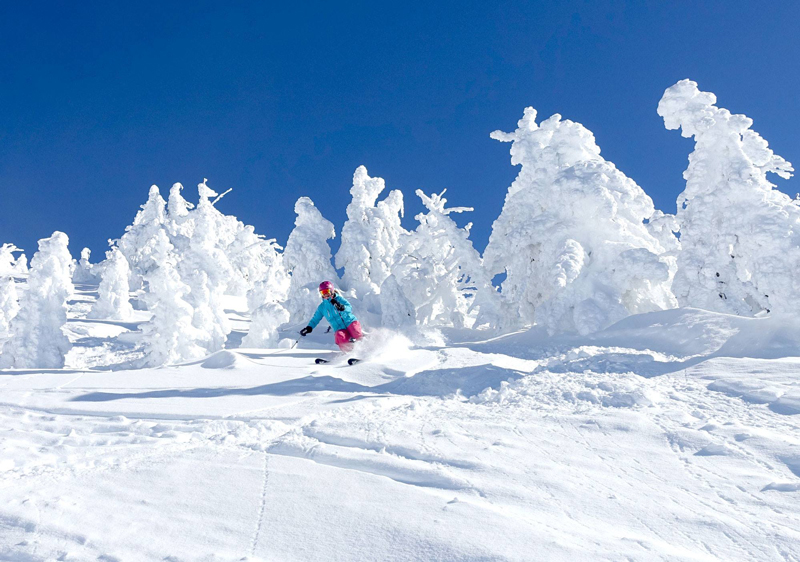 Mt Bachelor Ski Resort Oregon