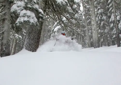 Sierra at Tahoe is renowned for its great tree skiing