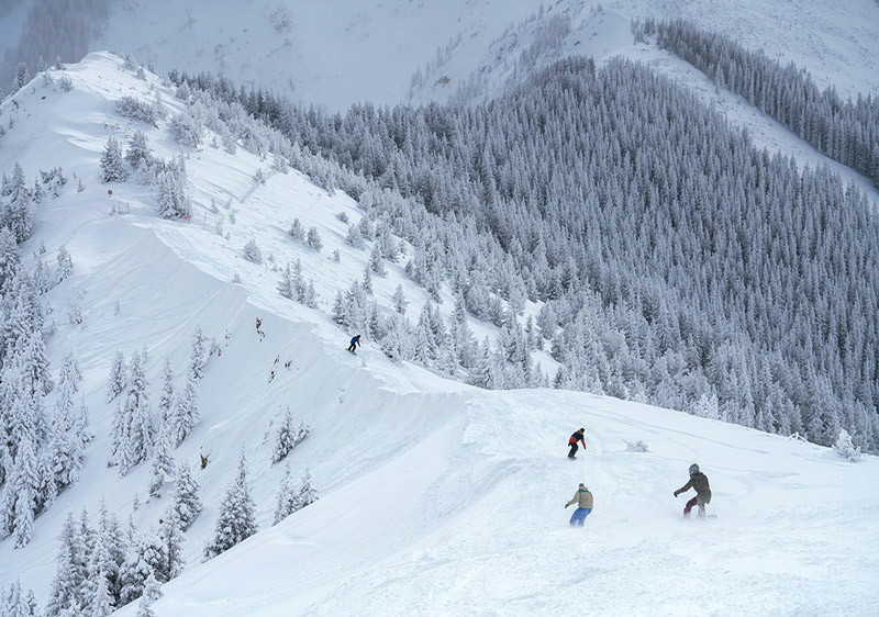 Ski Taos New Mexico Taos Ski & Snowboard Terrain