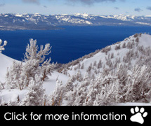USA Ski Packages