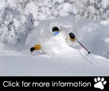 USA Ski Packages