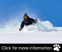 USA Ski Packages