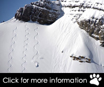 USA Ski Packages