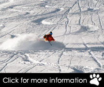 Utah Ski Packages