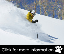 Utah Ski Packages