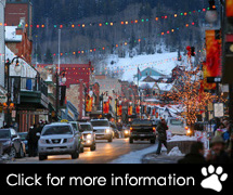 Utah Ski Packages