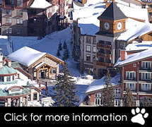 Utah Ski Packages