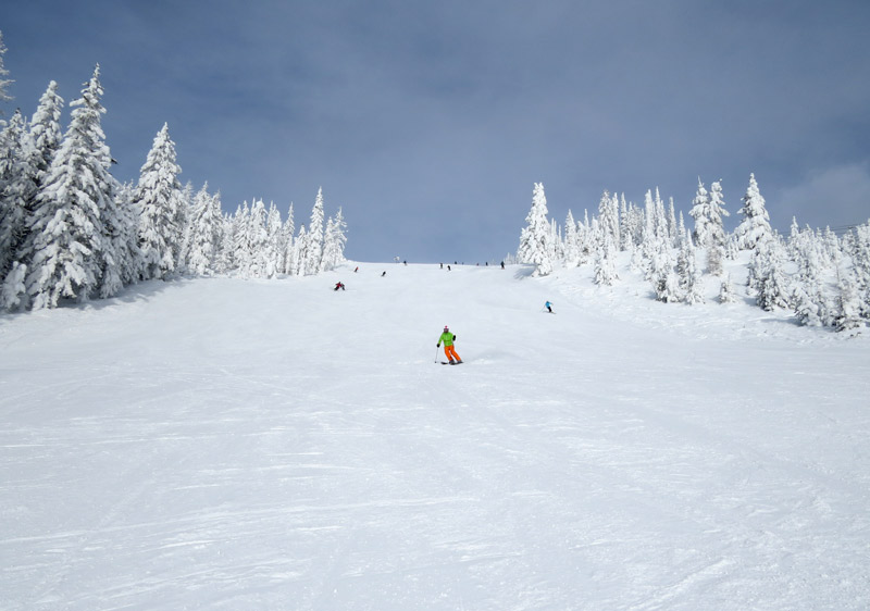 Ski Whitefish Mountain Resort Whitefish Montana Ski Resort Ratings