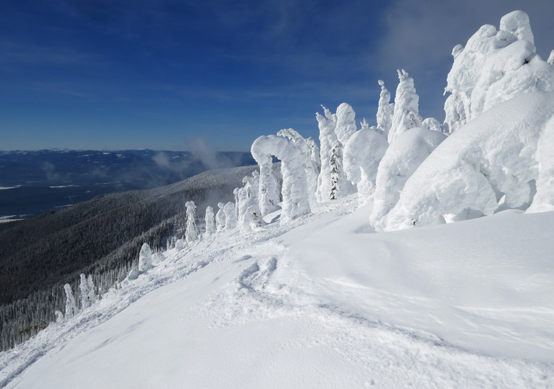 Ski Whitefish Mountain Resort Whitefish Montana Ski Resort Ratings