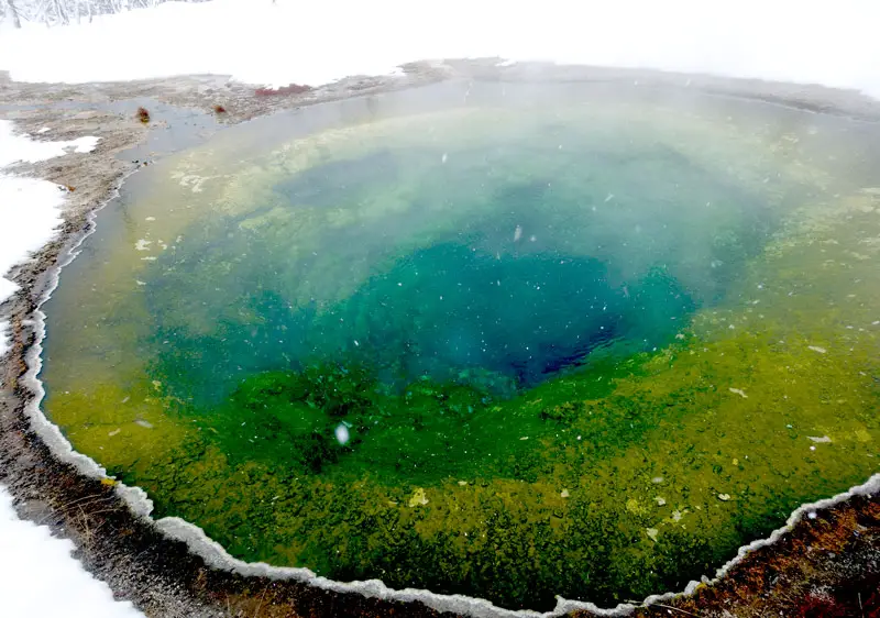 Hot pools in Yellowstone National Park