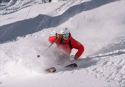 Big Red Cats - Multi-Day Packages