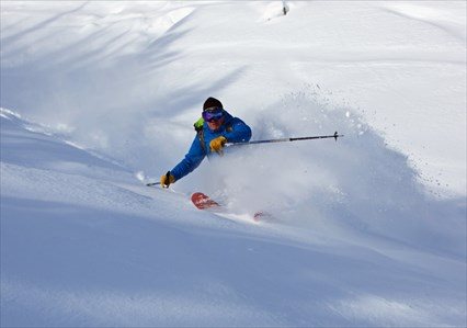 Powder Stagecoach - Day Cat Skiing