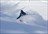Powder Stagecoach - Day Cat Skiing