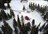 Powder Stagecoach - Day Cat Skiing