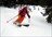 Powder Stagecoach - Day Cat Skiing